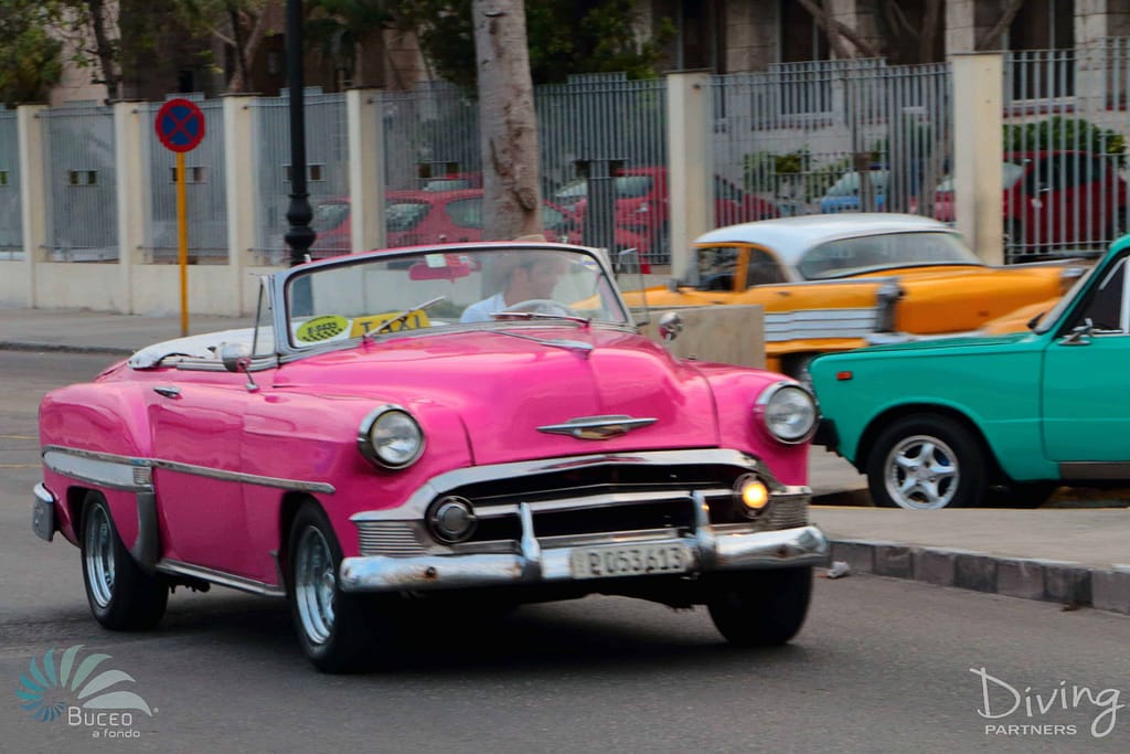 Bucear en Cuba